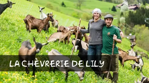 La Chevrerie de Lily