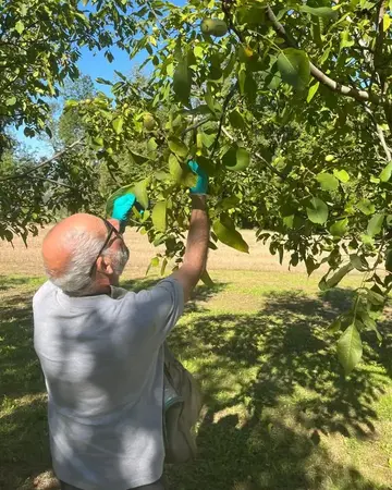 Le clos des franquettes Le clos des franquettes