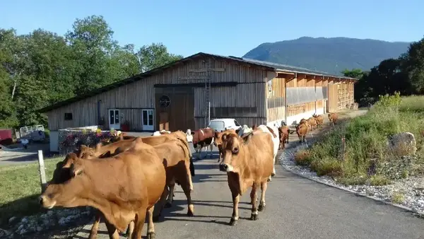 GAEC LA MARMOTTE EN BAUGES