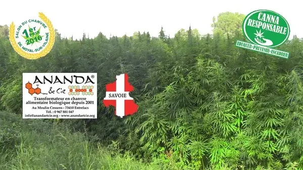 Ananda et Cie