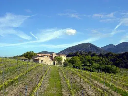 Domaine Giniès