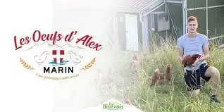 Les oeufs d'Alex