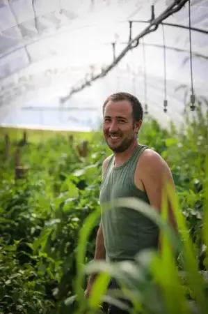 VERS LES CHAMPS VERS LES CHAMPS